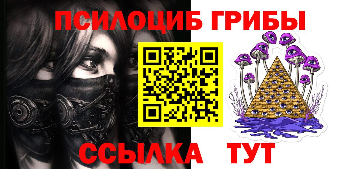 Псилоцибиновые грибы Psilocybe  Вход с VPN  Грязи  Галлюциногенные грибы ЛСД 