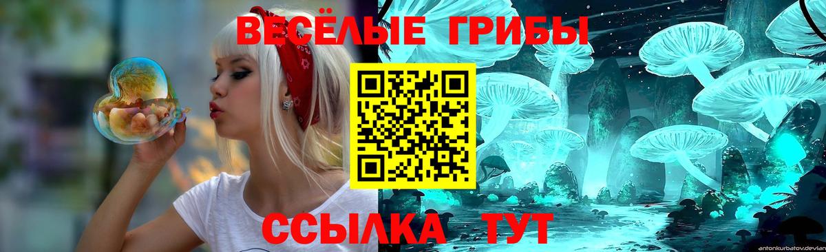 Галлюциногенные грибы MAGIC MUSHROOMS Грязи